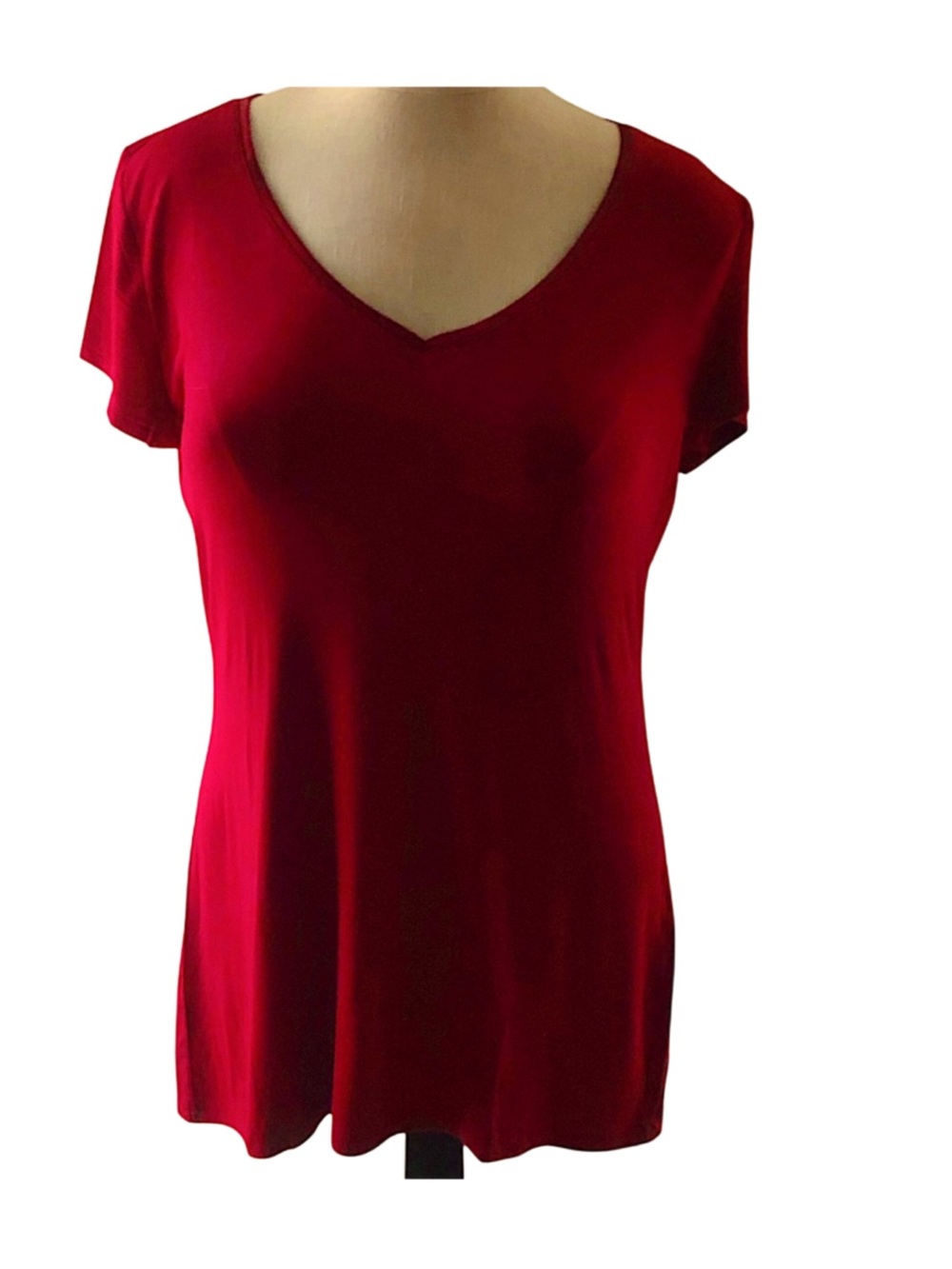 White House Black Market Womens Rust V Neck Tee Size S